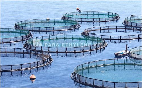 Polietileno de cultivo de peces en jaulas